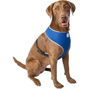 SimplyDog Size Small Breathable Reflective T-Strap Dog Harness, Cobalt